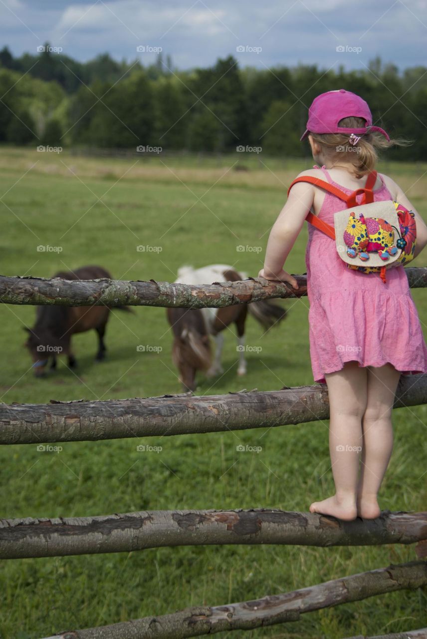 girl looking at horses