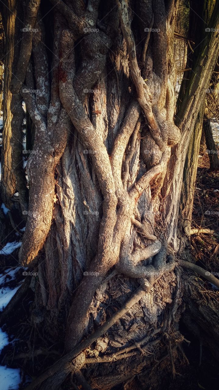 A breathtaking photo 😯😮😁😄😊