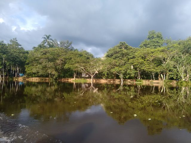 Amazonian beauties