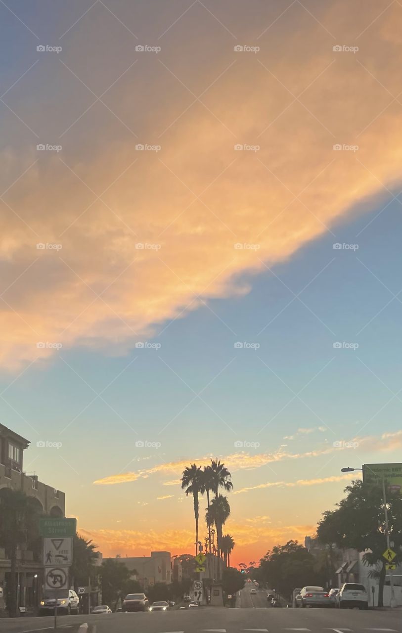 Sunset in San Diego with palm trees 