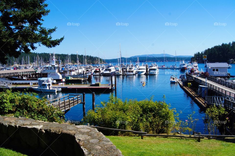 Friday harbor 