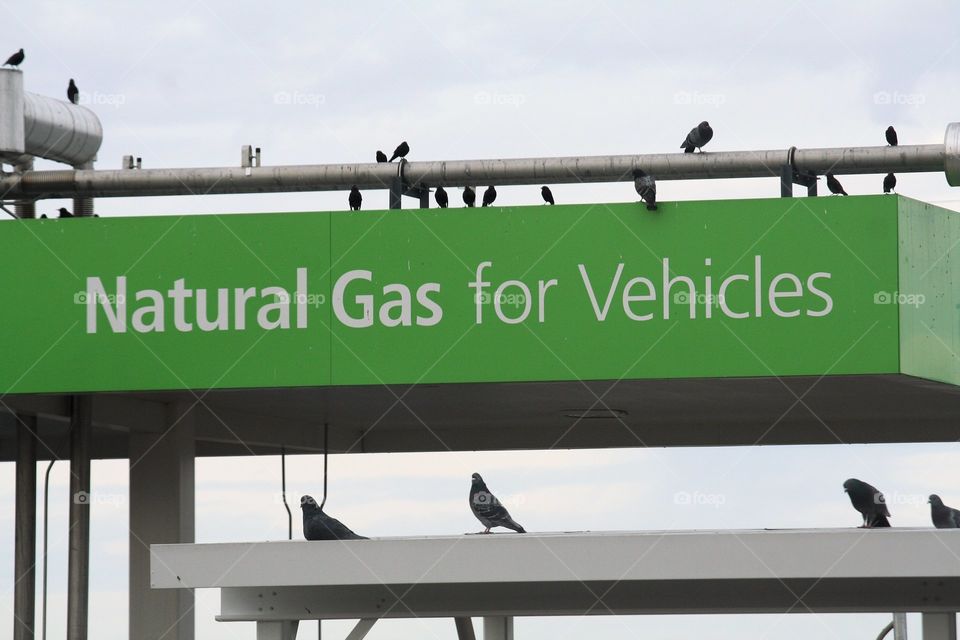 Use Natural Gas