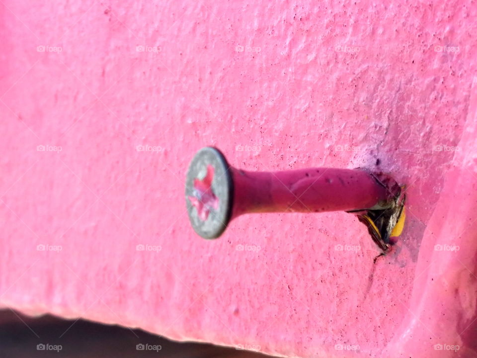 Pink nail on wall