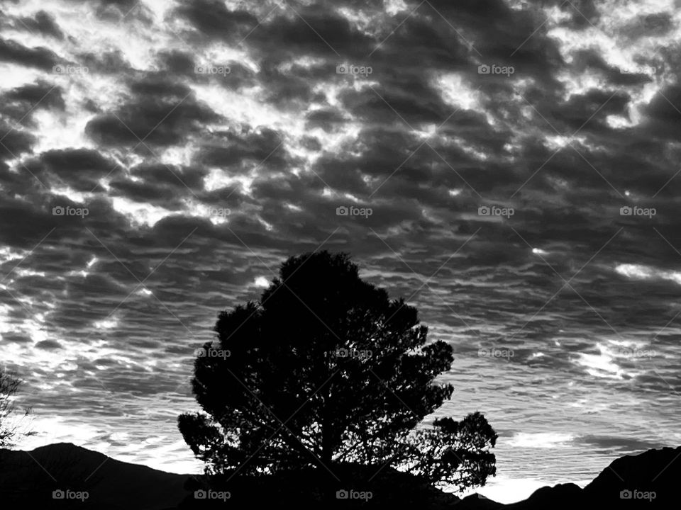 A black and white photo of a tree with clouds and mountains in the distance. 