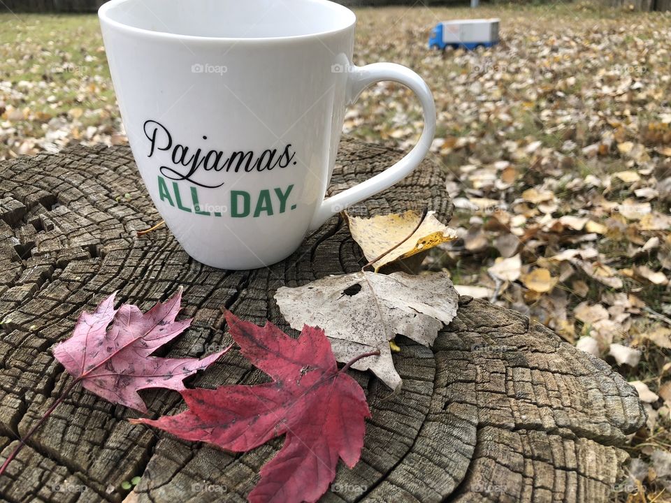 Cup of coffee in the leaves