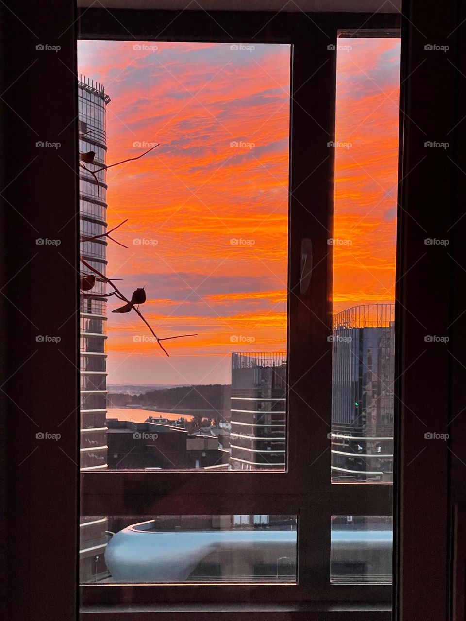 sunrise over the city