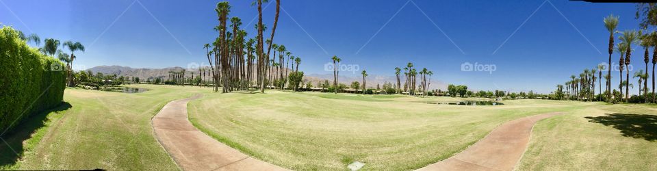 California living is an attitude! A golf course with palm trees, sunshine, and green grass. What’s not to love?! 