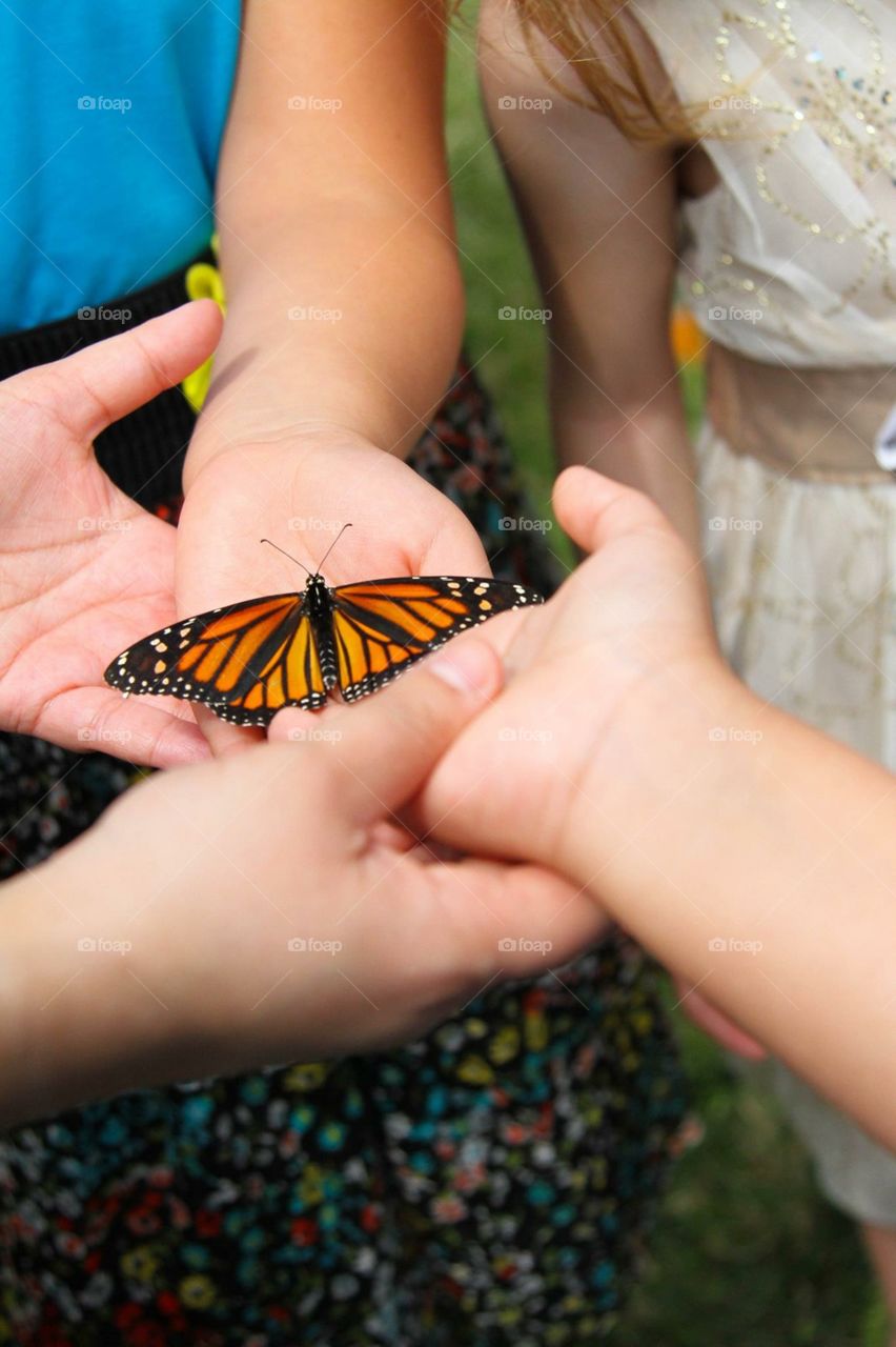 Children holding butterfly