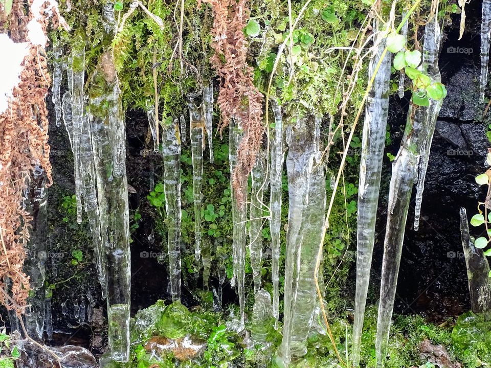 Schwarzwald in Winter