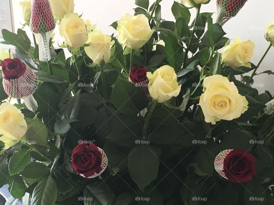 Roses bouquet 