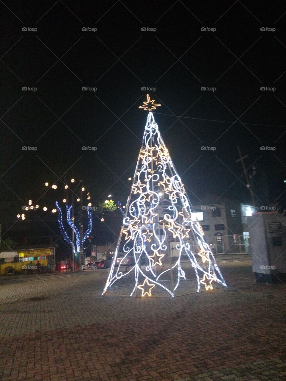 No Person, Christmas Tree, Christmas, Winter, Light