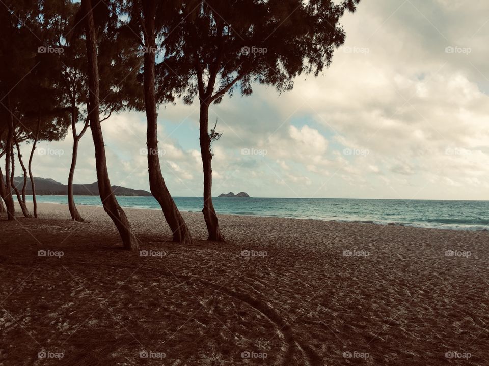 Beach in Oahu Hawaii 