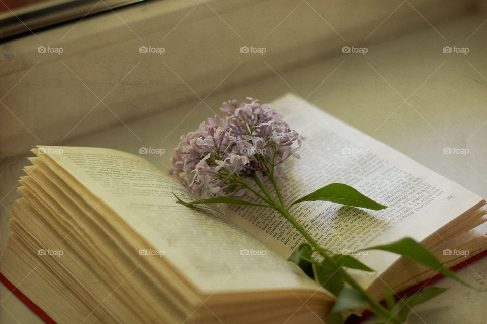 reading book, flower for inspiration