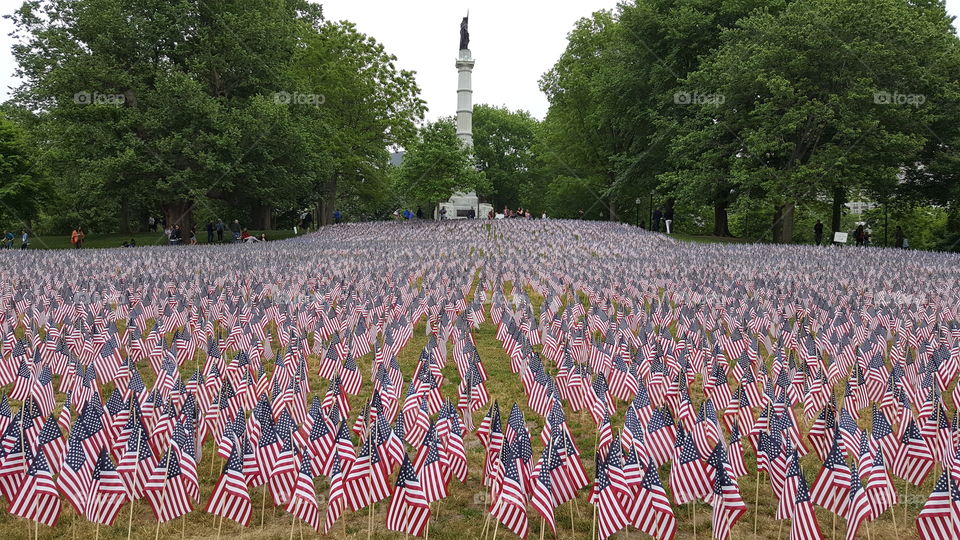 Memorial day Boston Commons