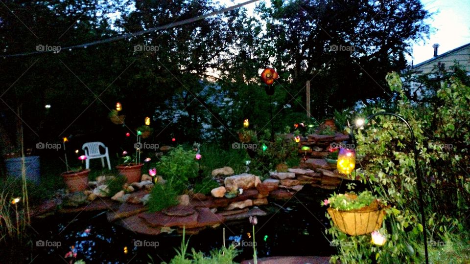 Night Light Garden