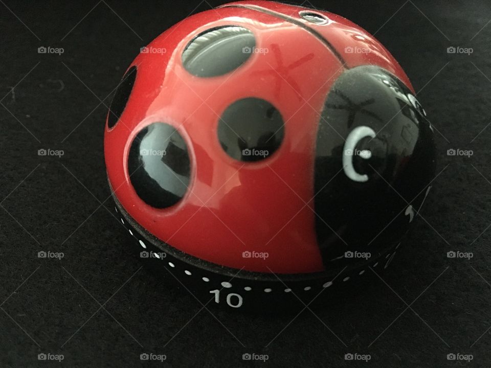 Side view ladybug timer