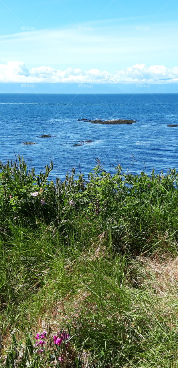 seashore in Vancouver island