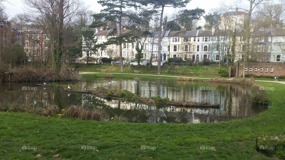 Water, House, No Person, Home, Tree