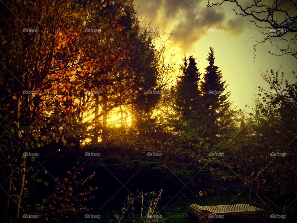 Spring sunset . The backyard 