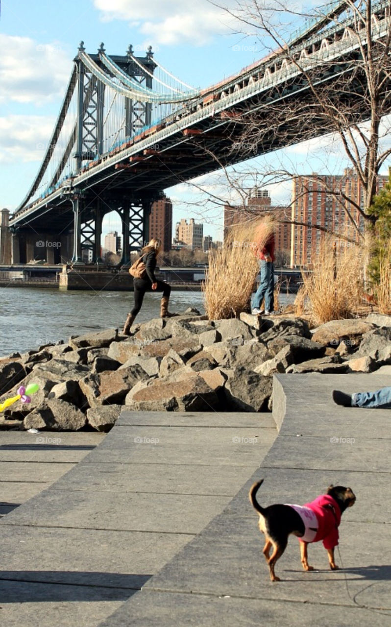 Brooklyn Bridge