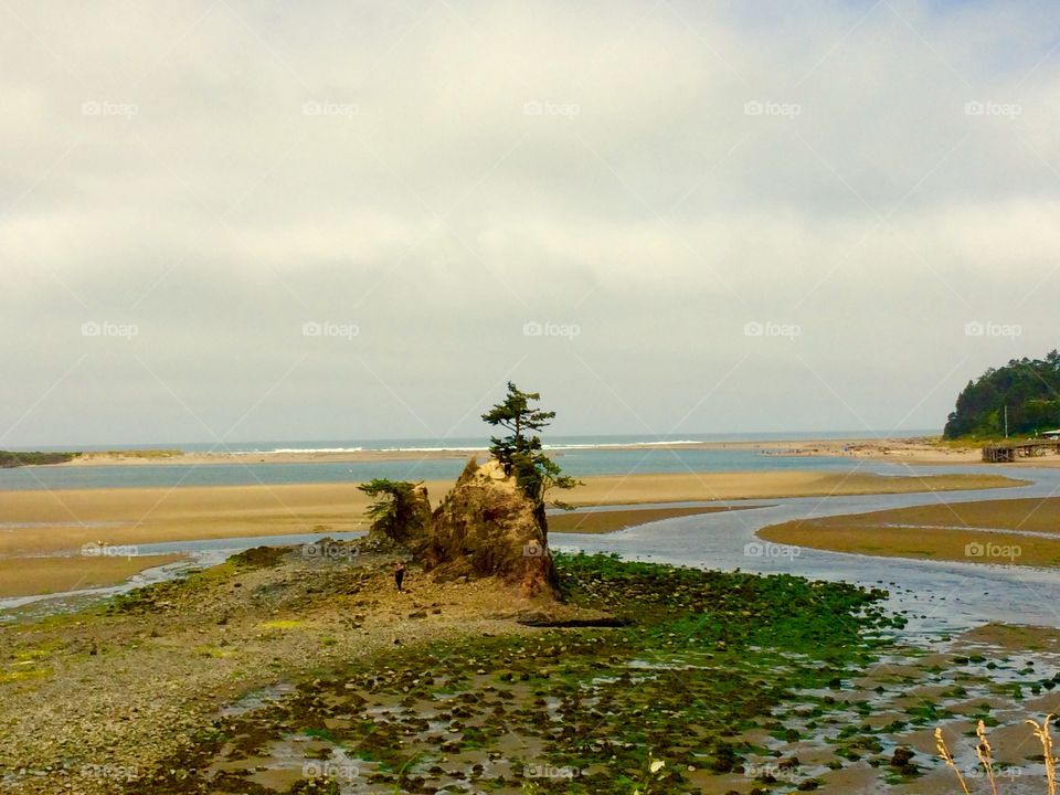 Oregon coast