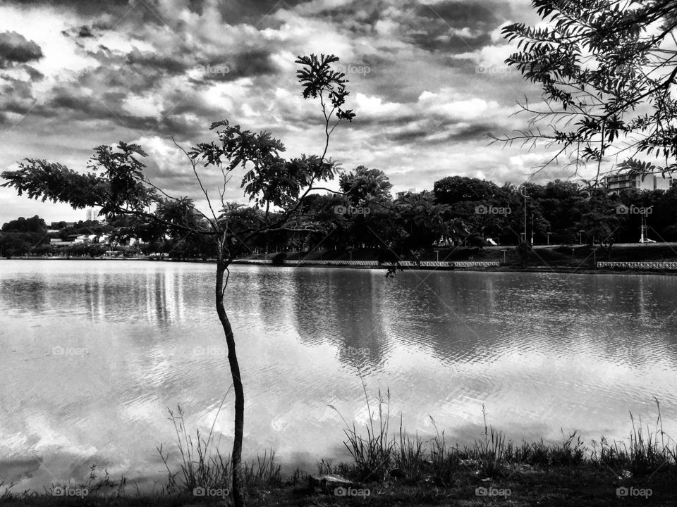 From my car, I see the lake with the lonely tree on the side of the road.  What a touching image! / Do meu carro, enxergo à beira da estrada o lago com a solitária árvore. Que imagem tocante!