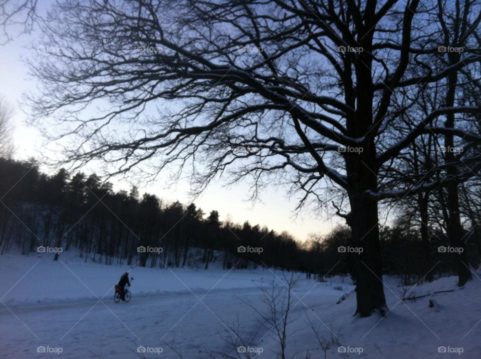 snow winter bicycle tree by marit.anteskog