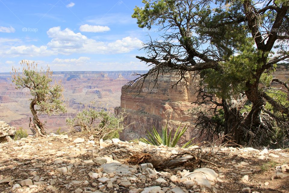 Grand Canyon 