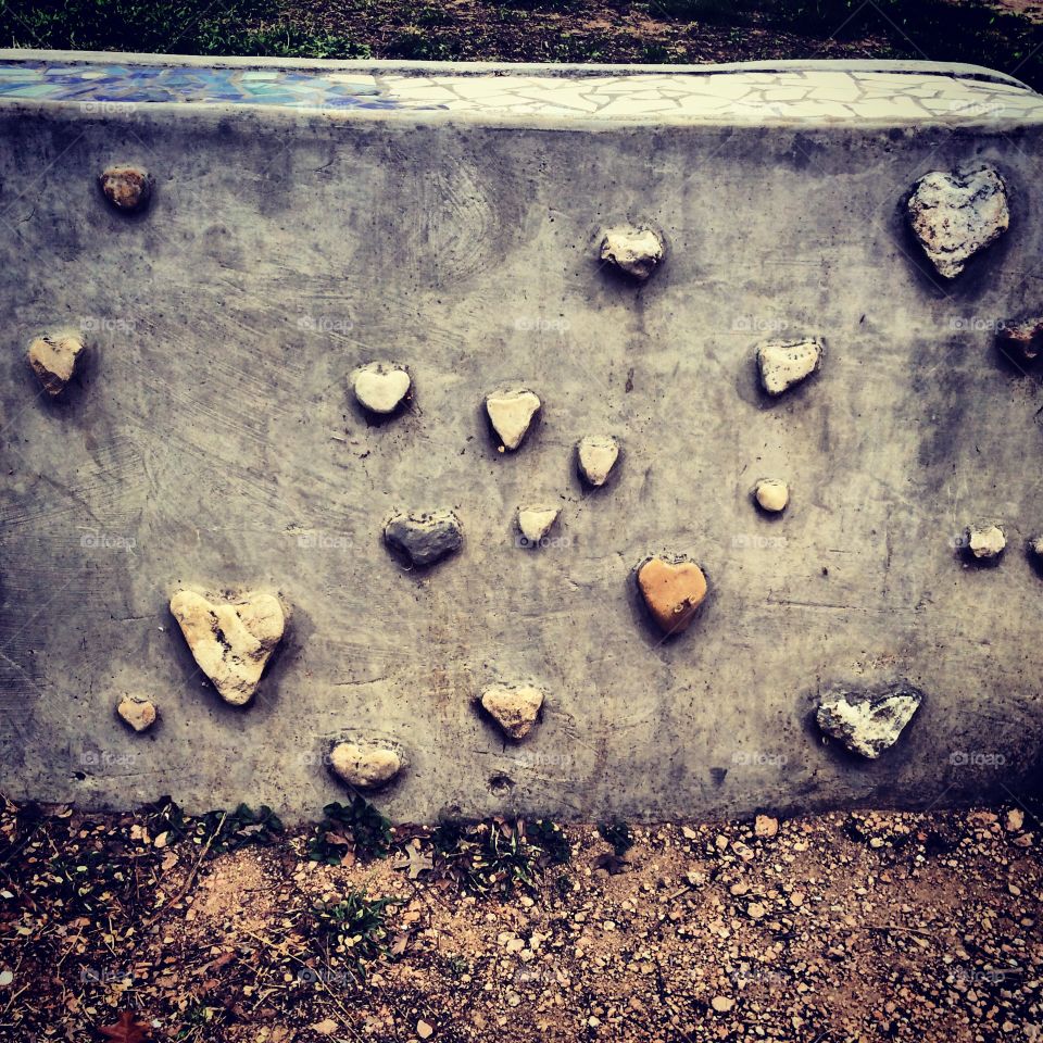 The Heart Wall - Austin