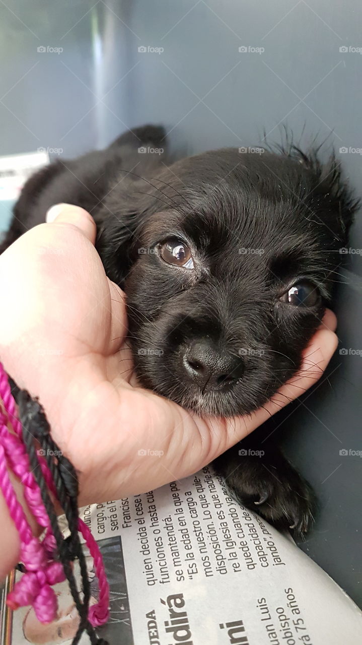 little patient is recovering