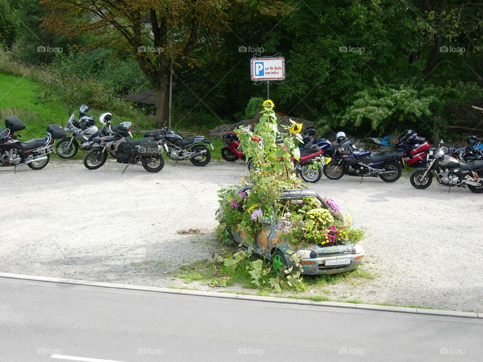 Auto mit Blumen 