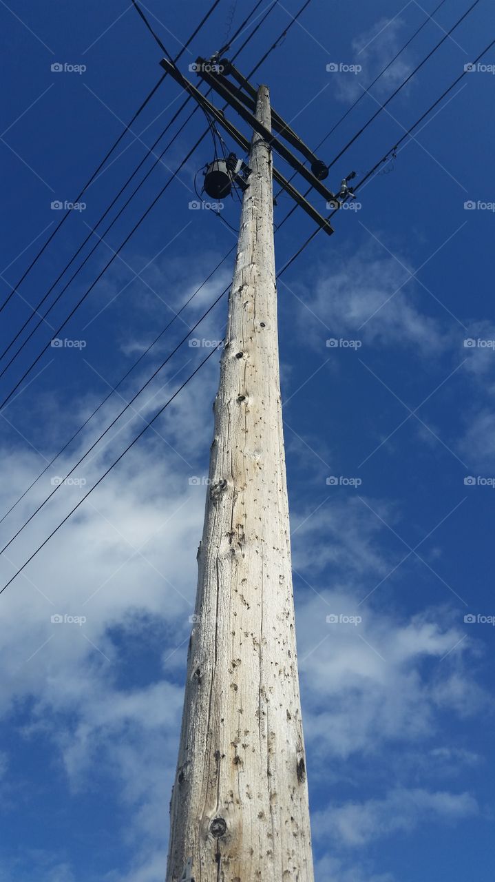 Telephone Pole