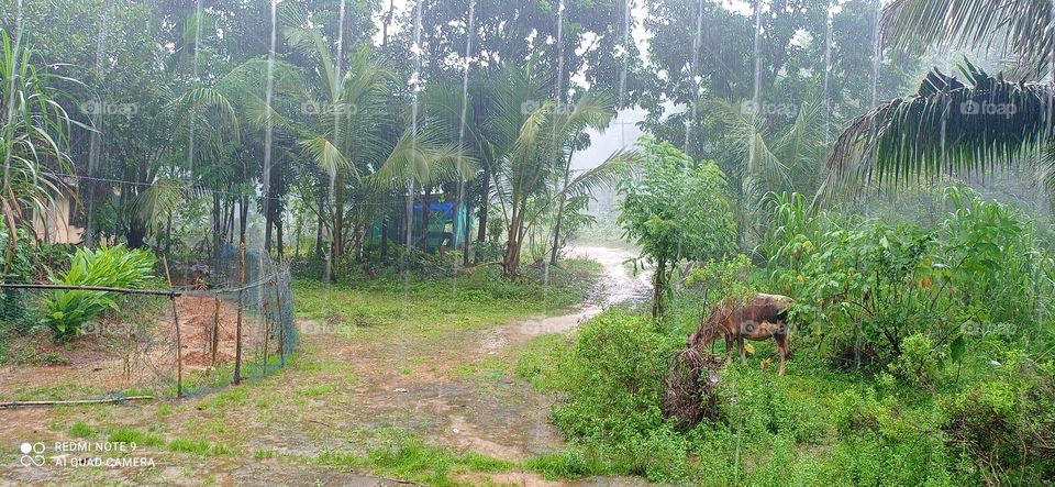 when rain is coming....feel it