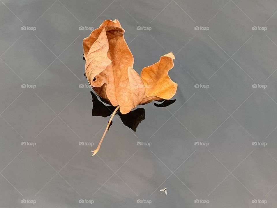 Nature’s time to rest