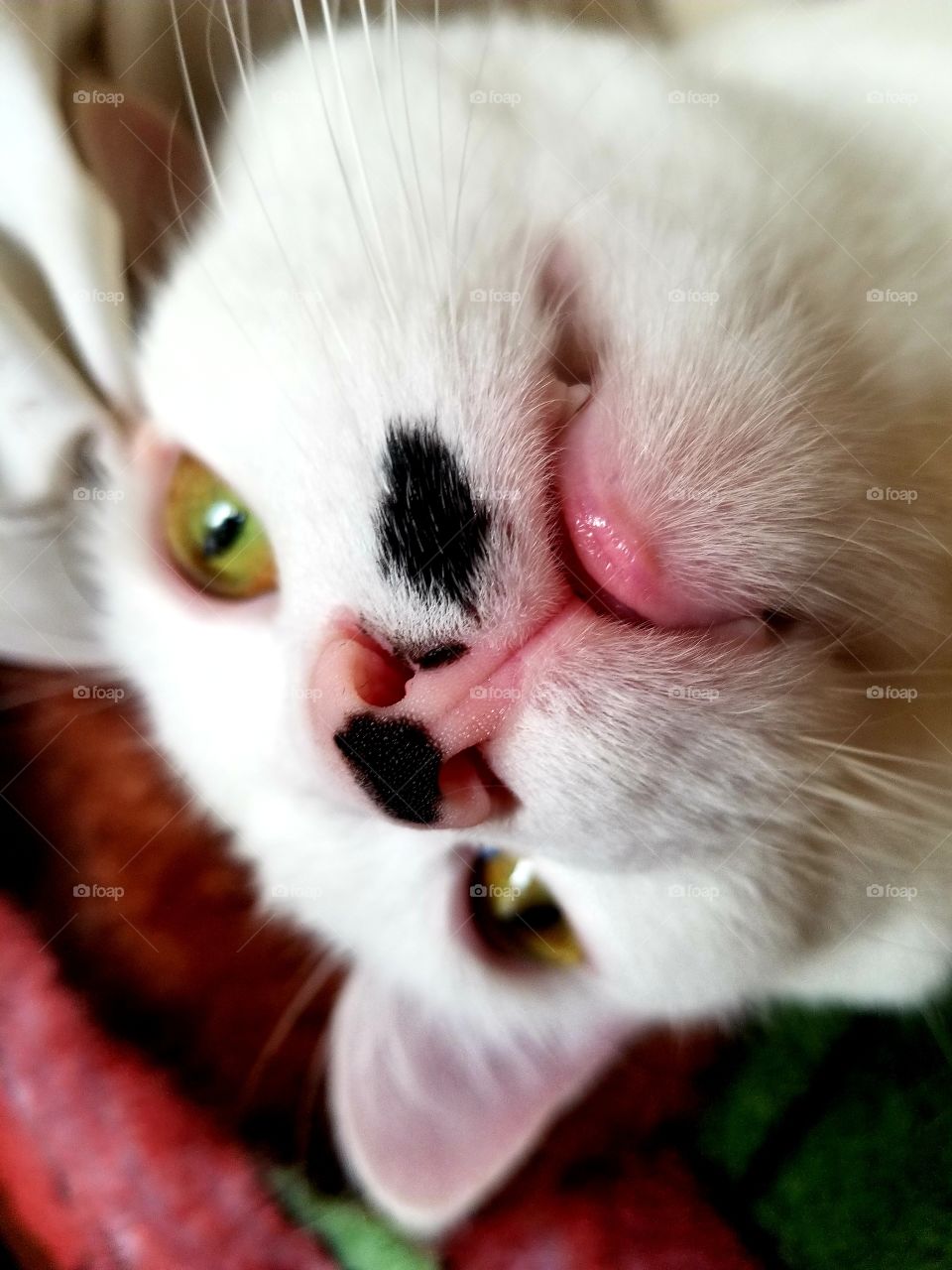 Let me take a selfie