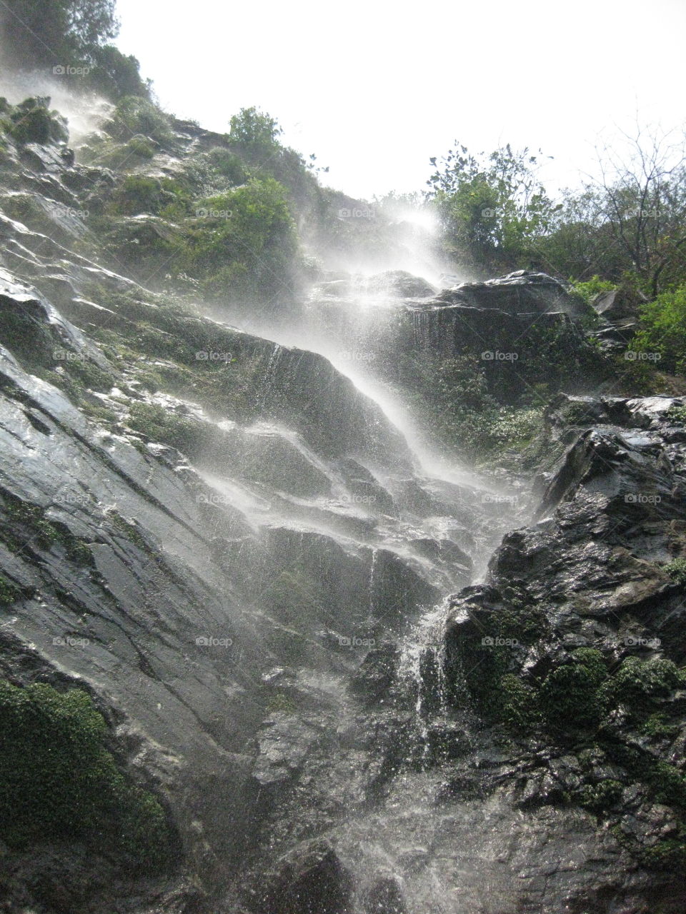 Stream flowing through rocks