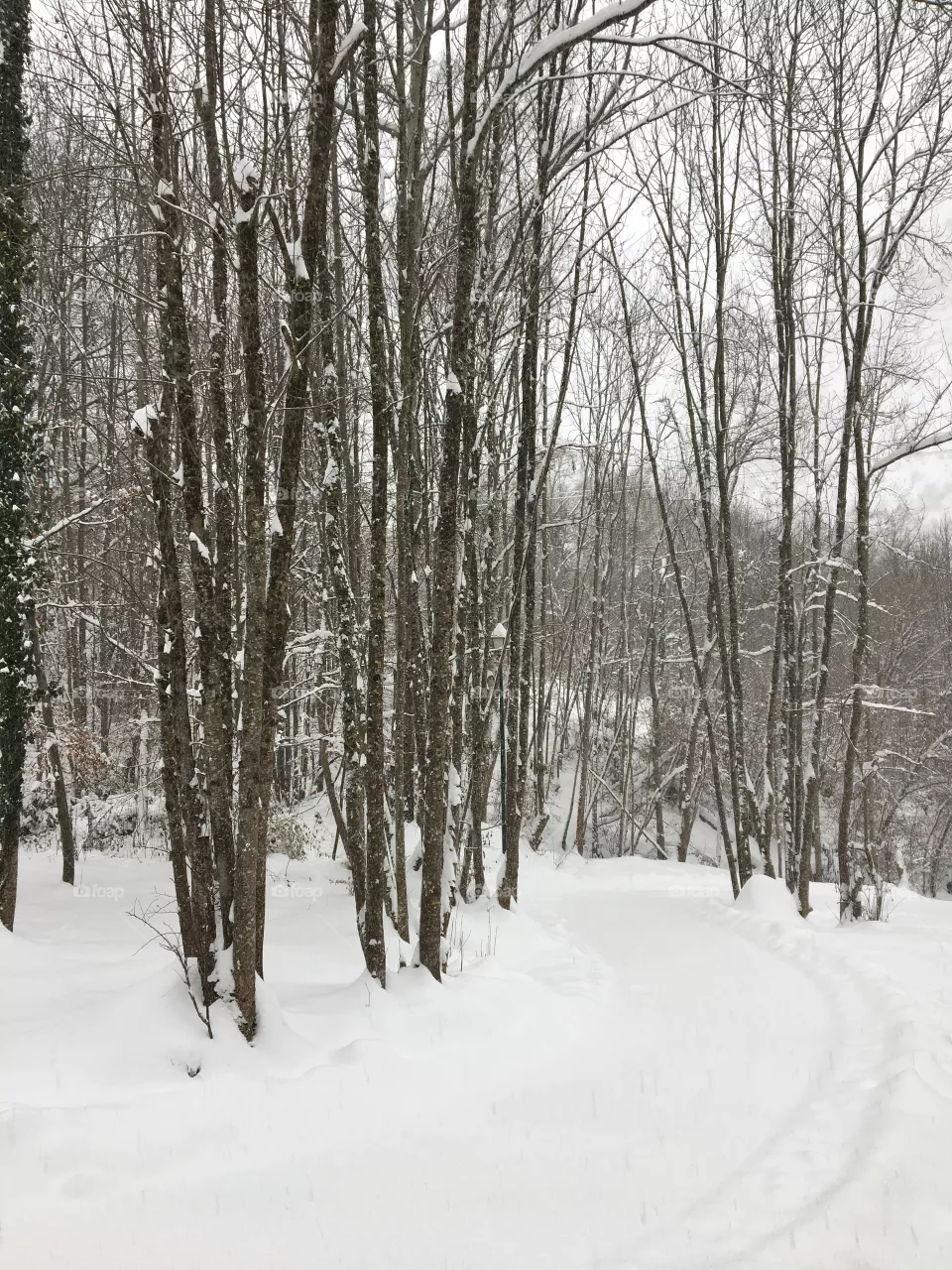 Snow trail 
