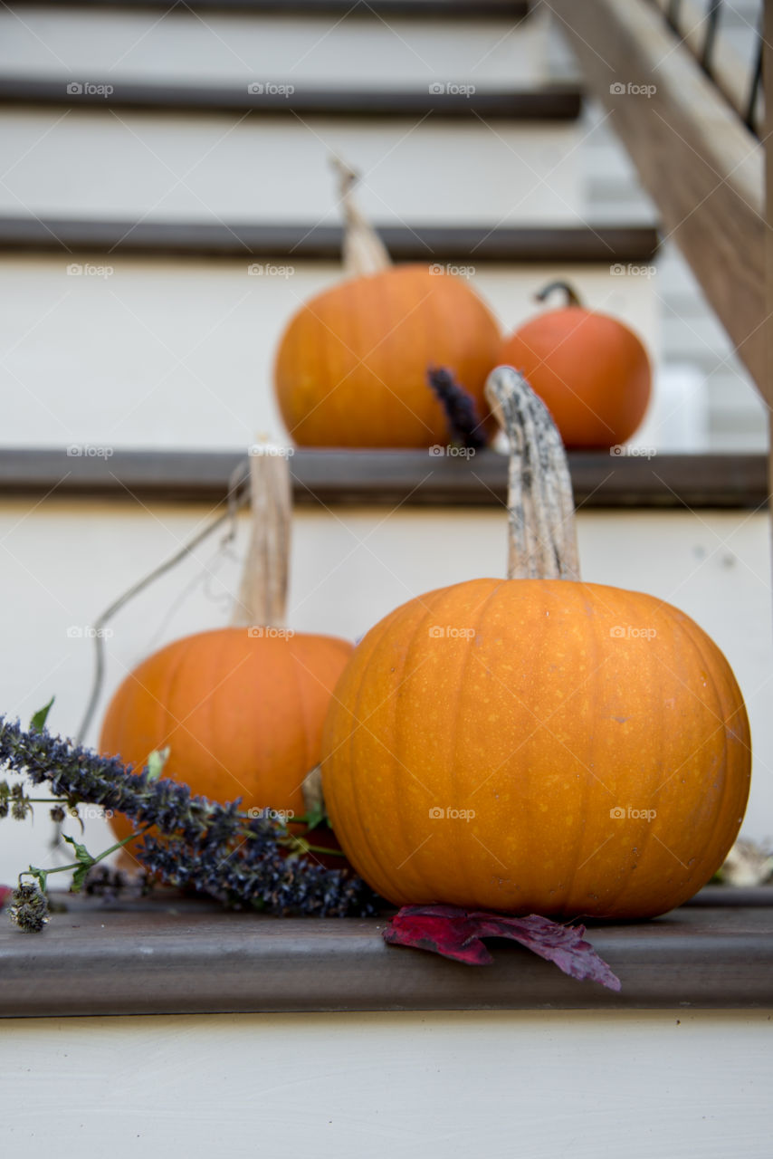 Pumpkins on the front steps are a sure sign of fall