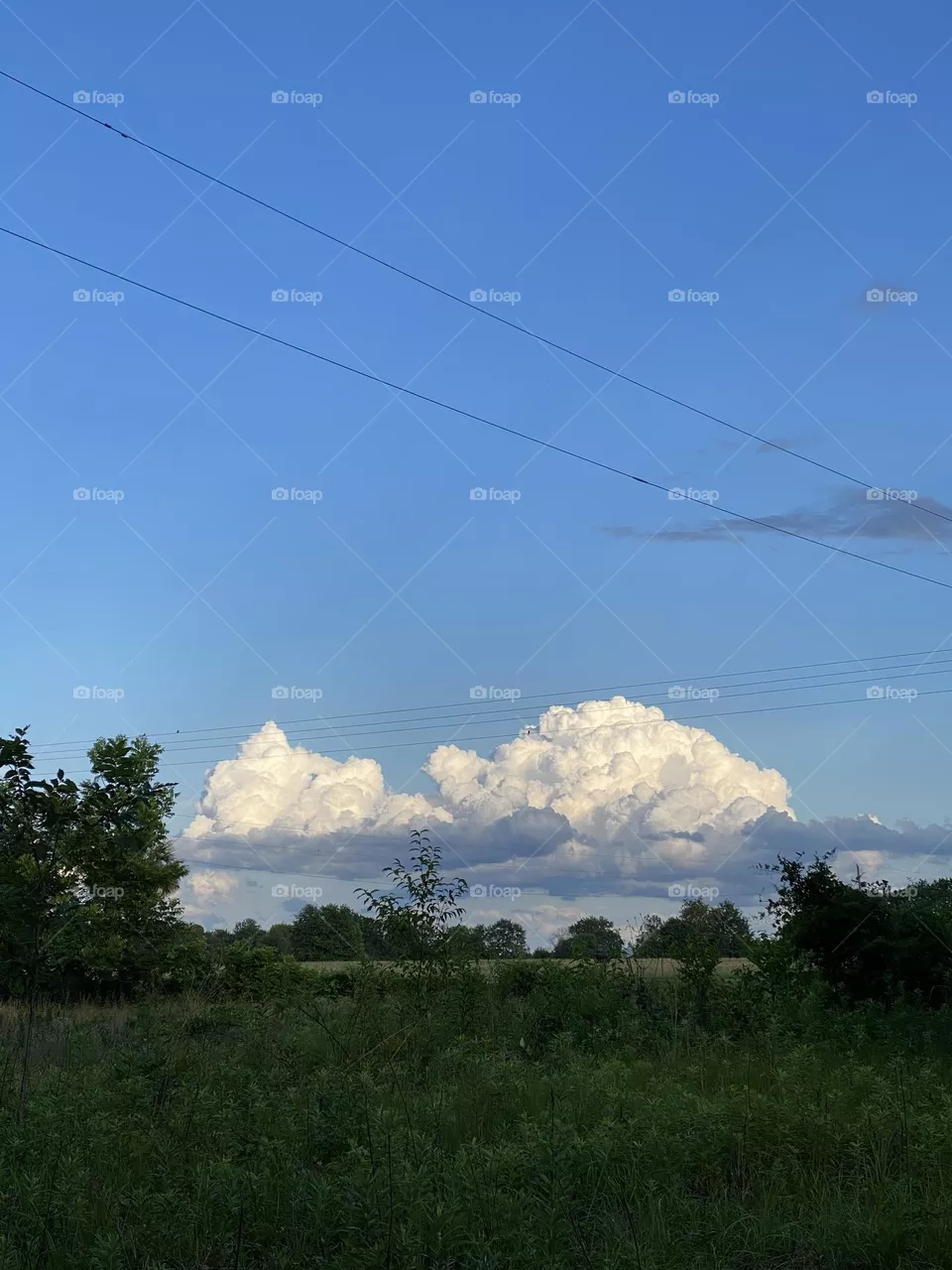 Blue sky 