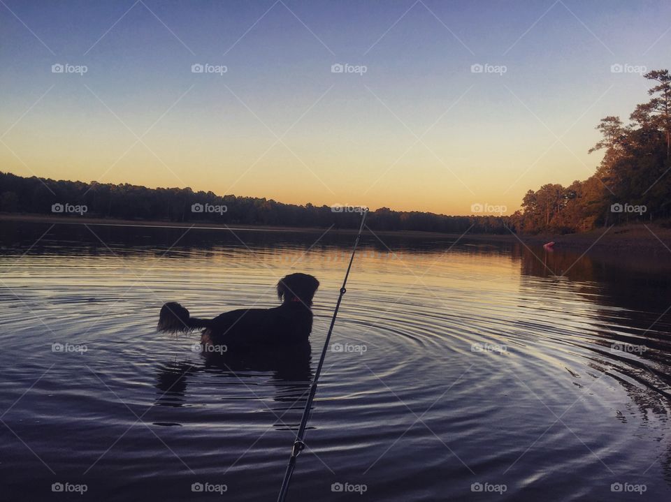 Fishing with meeko