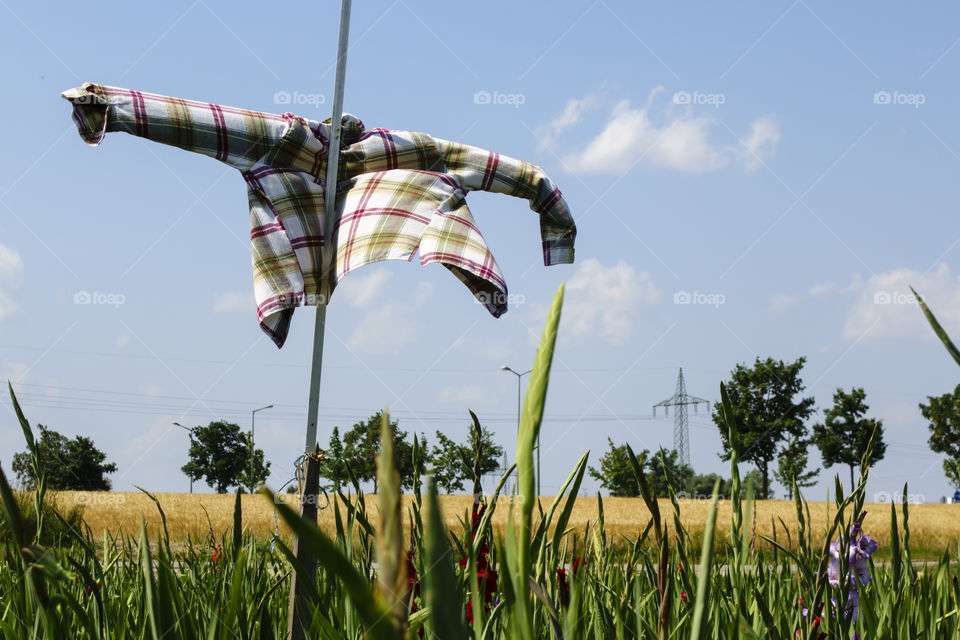 Scarecrow