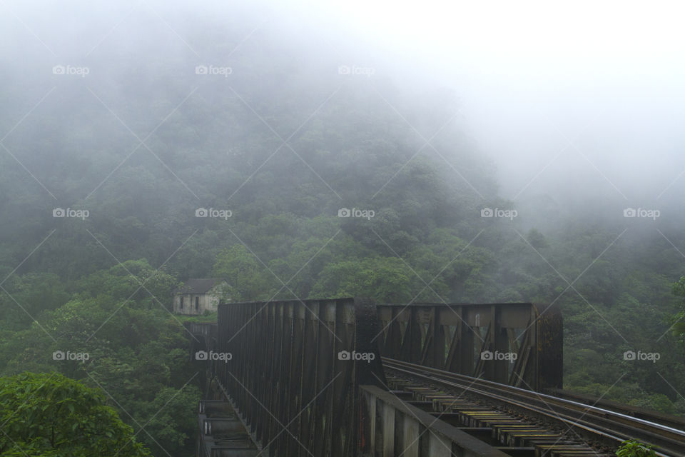 Railroad in nature.