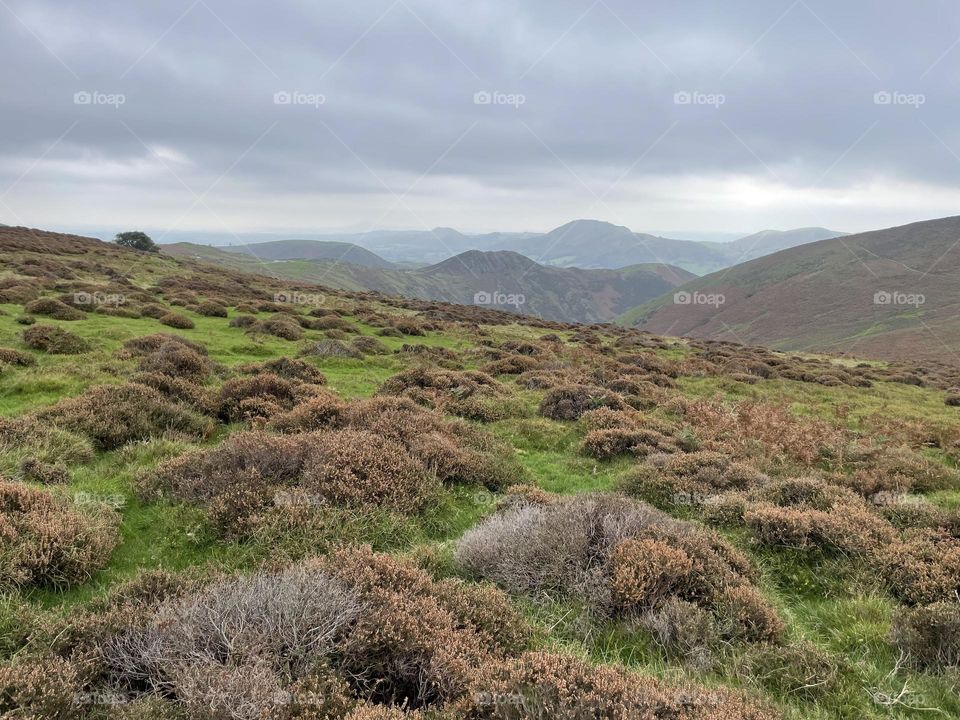 Shropshire Landscape