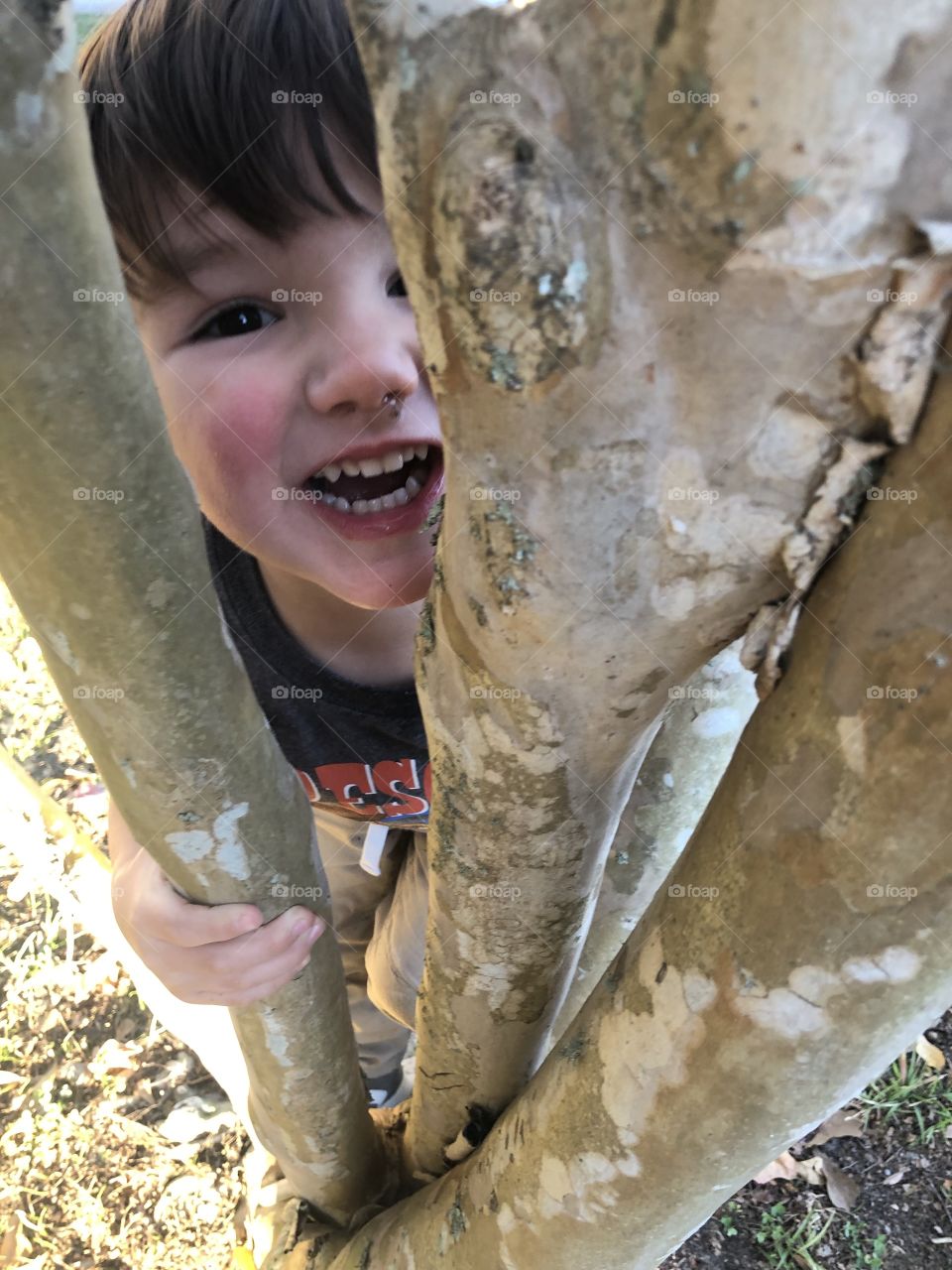 Toddler dark haired boy peeking through the tree smiling making a cool photo. 