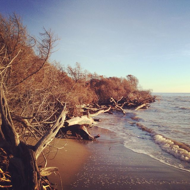 natural sea landscape 