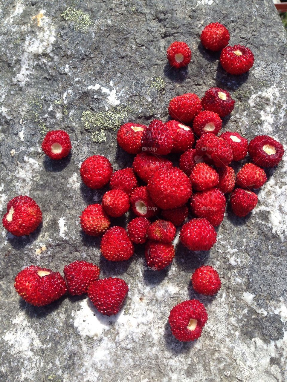 Close-up view of strawberies