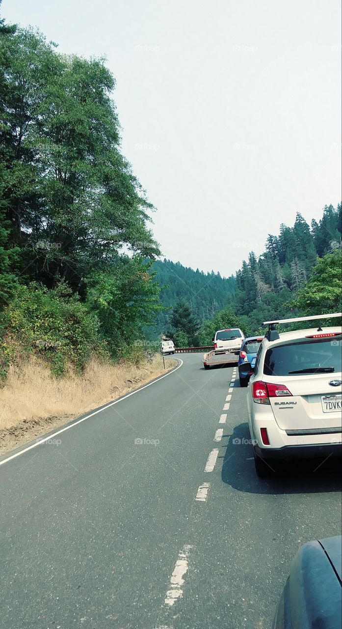 Oregon Shuttle driver's