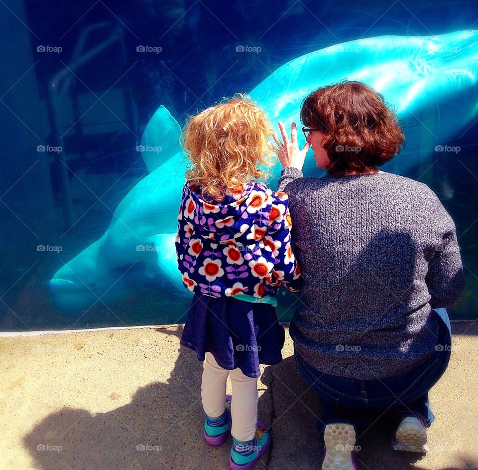 A little afraid.... My sister had to explain to her daughter that the glass prevented the whale from touching her - people enjoying spring mission