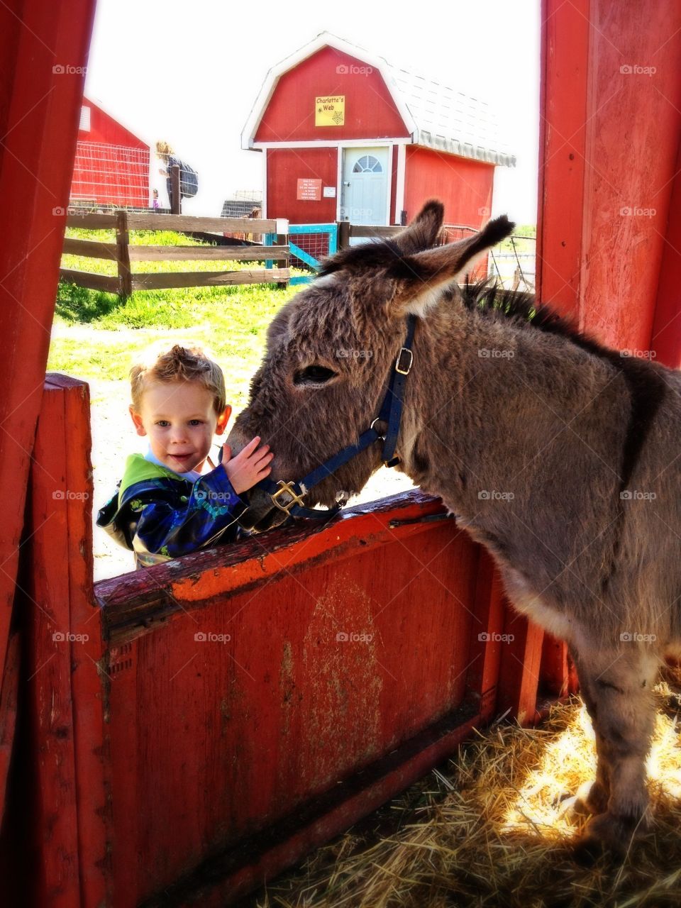 Fast farm friends 