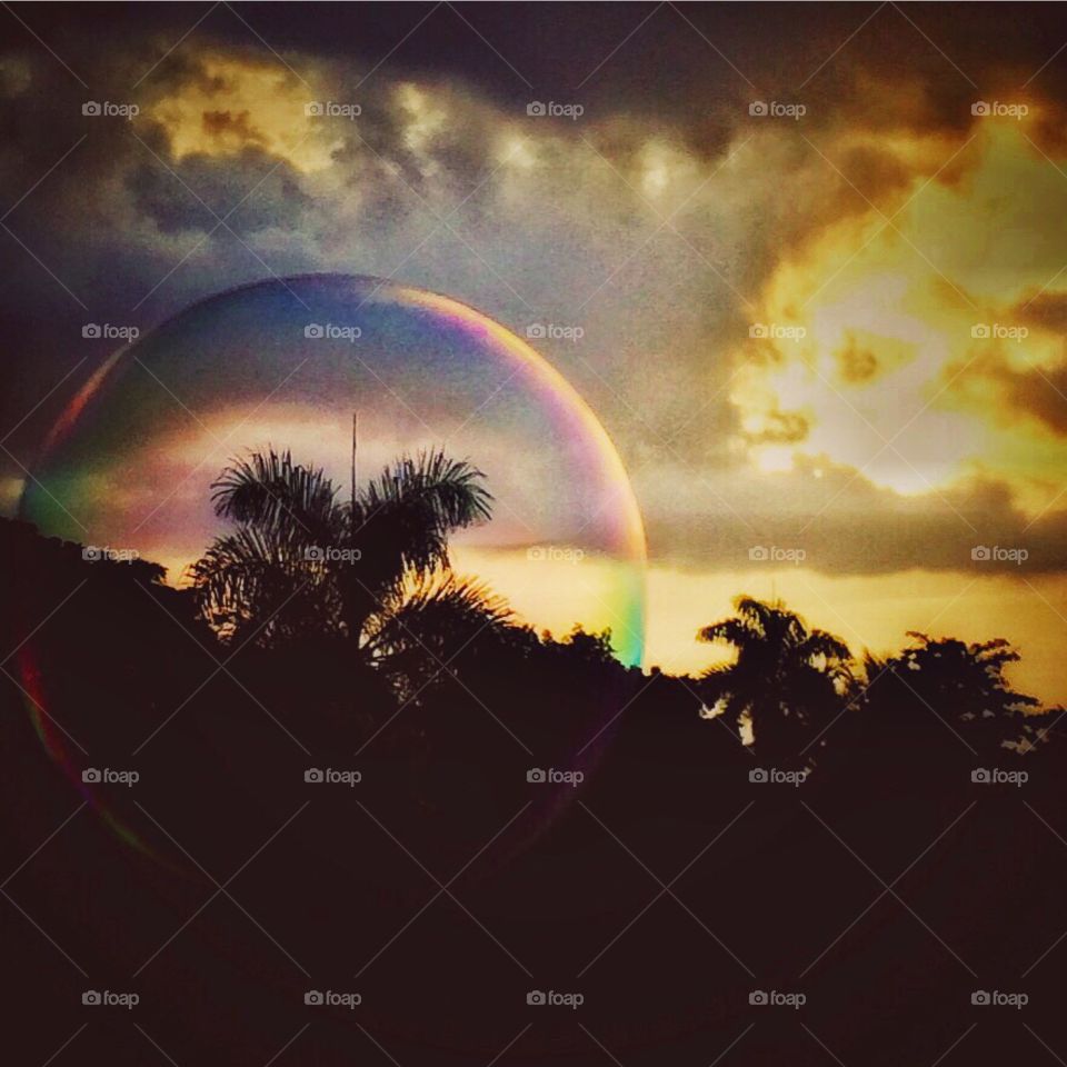 Sunset. Blowing bubbles and this one  was front of the palm tree. 